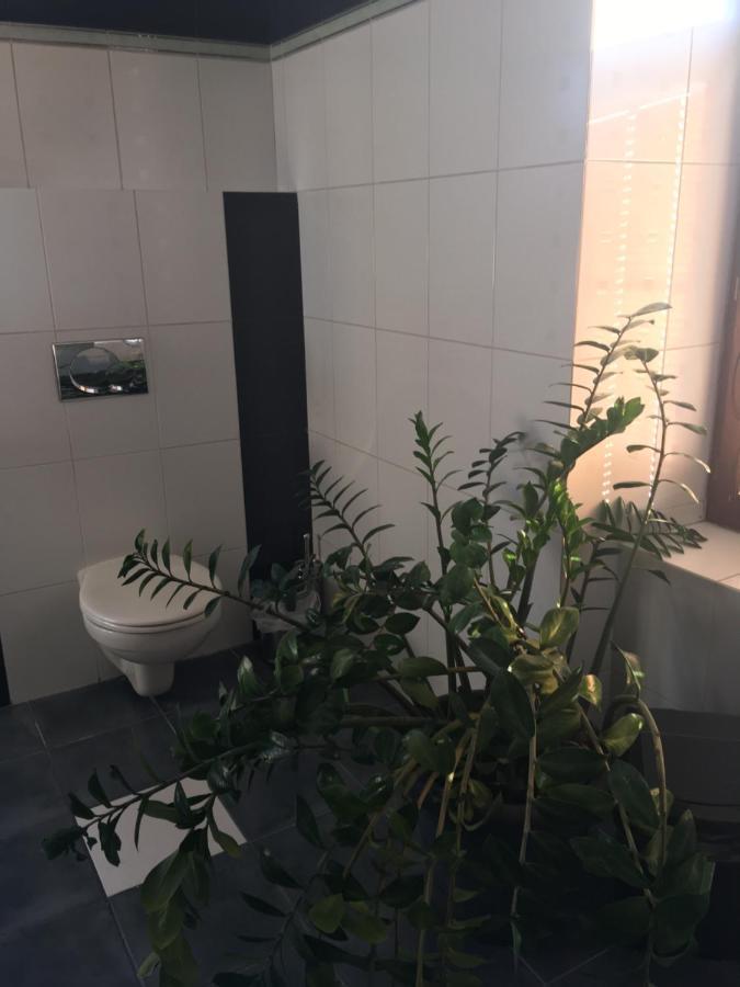 Penzion A Pivnice Varna Velká Bystřice Kültér fotó